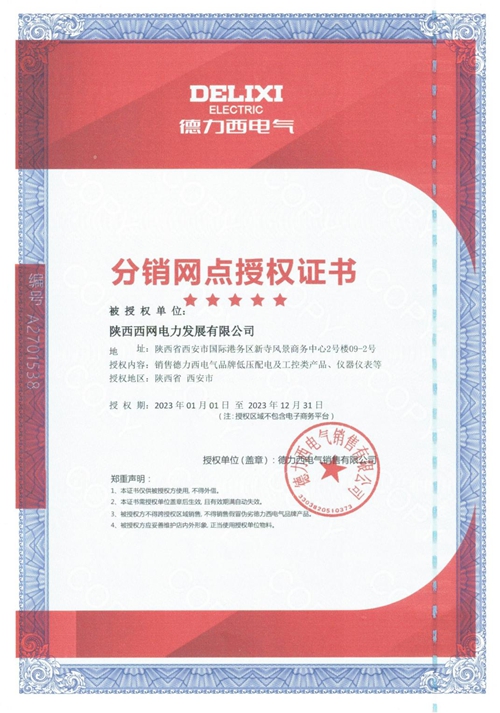 西网电力资质电子版