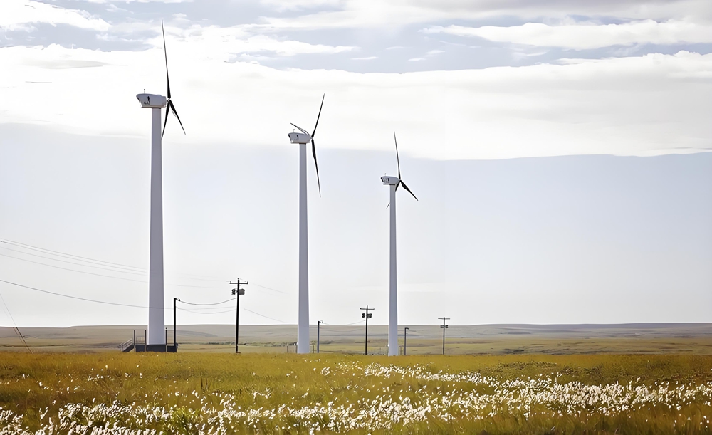 风力发电